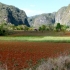 Valle Viñales Valle Viñales