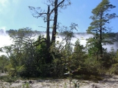 Weg zum Refugio La Picada