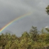 Arco Iris Arco Iris