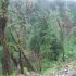 Weg zu den Saltos de Calbuco Weg zu den Saltos de Calbuco