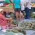 Phuket Phuket