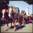Leonhardi - Ritt Siegertsbrunn 2013 - #Leahats Leonhardi - Ritt Siegertsbrunn 2013 - #Leahats