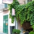 Il Ristorante Dedalo