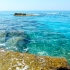 Tropea Tropea