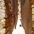 Agrigento Agrigento