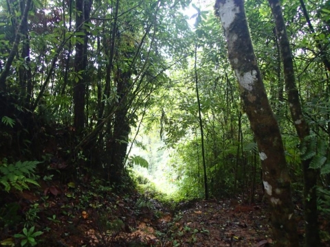 Republic of Costa Rica - LaAmistad Republic of Costa Rica - LaAmistad