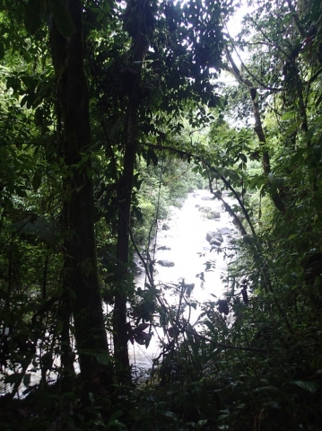 Republic of Costa Rica - Rio"Celeste" Republic of Costa Rica - Rio"Celeste"