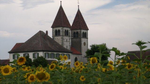 Bregenz - Insel Reichenau Bregenz - Insel Reichenau