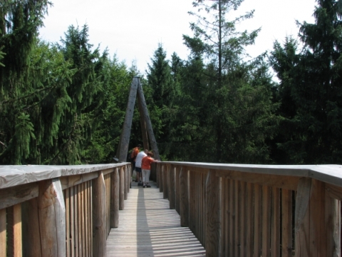 Baumkronenweg Kopfing Baumkronenweg Kopfing