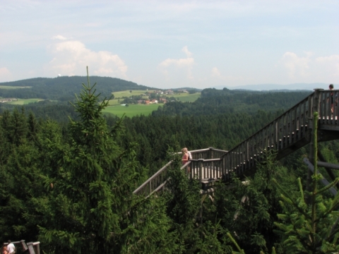 Baumkronenweg Kopfing Baumkronenweg Kopfing