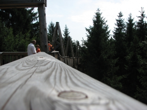 Baumkronenweg Kopfing Baumkronenweg Kopfing