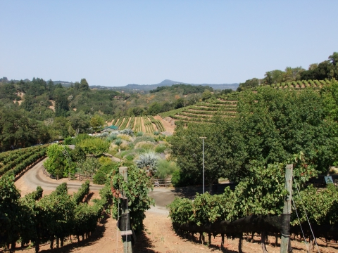 Sonoma Wine Valley Sonoma Wine Valley