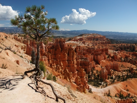 Bryce Canyon Bryce Canyon