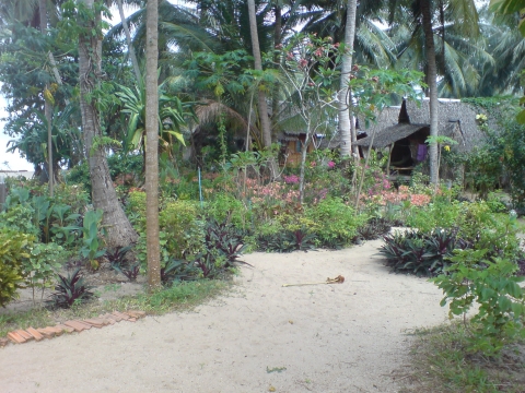 Koh Phangan - Seaflower Bungalows