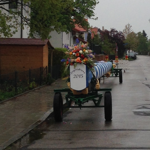 Siegertsbrunn - geschmückter Maibaum in der Früh vorm Aufstellen Siegertsbrunn - geschmückter Maibaum in der Früh vorm Aufstellen
