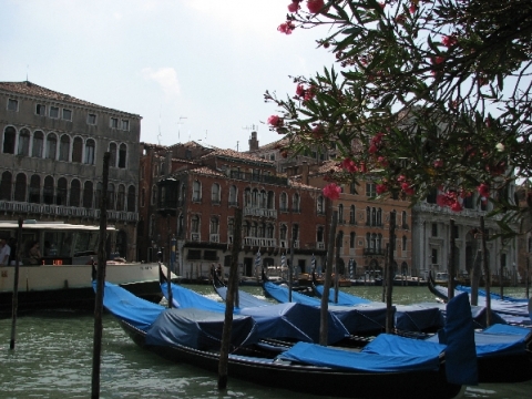Venice