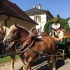 Leonhardi-Umzug 2015 - Bild 5 Leonhardi-Umzug 2015 - Bild 5