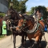 Leonhardi-Umzug 2015 - Bild 12 Leonhardi-Umzug 2015 - Bild 12
