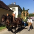 Leonhardi-Umzug 2015 - Bild 9 Leonhardi-Umzug 2015 - Bild 9