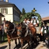 Leonhardi-Umzug 2015 Leonhardi-Umzug 2015