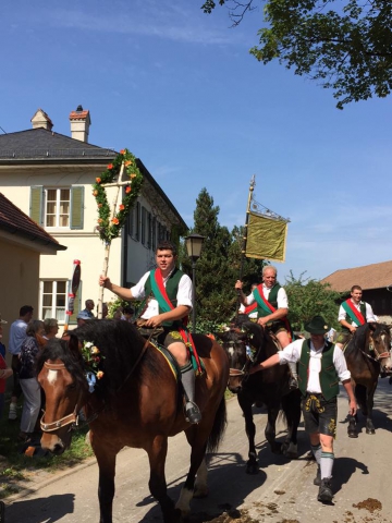 Siegertsbrunn - Leonhardi-Umzug 2015 - Bild 14 Siegertsbrunn - Leonhardi-Umzug 2015 - Bild 14