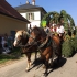 Leonhardi-Umzug 2015 - Bild 16 Leonhardi-Umzug 2015 - Bild 16