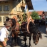 Leonhardi-Umzug 2015 - Bild 19 Leonhardi-Umzug 2015 - Bild 19