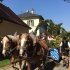 Leonhardi-Umzug 2015 - Bild 23 Leonhardi-Umzug 2015 - Bild 23