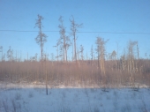 endlose W&auml;lder
