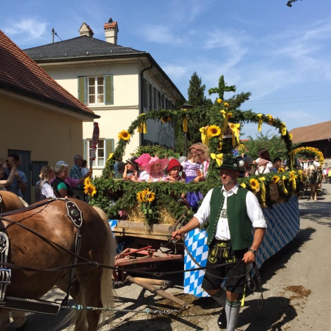 Siegertsbrunn - Leonhardi-Fahrt 2015 - Bild 72 Siegertsbrunn - Leonhardi-Fahrt 2015 - Bild 72