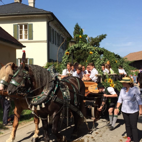 Siegertsbrunn - Leonhardi-Fahrt 2015 - Bild 73 Siegertsbrunn - Leonhardi-Fahrt 2015 - Bild 73