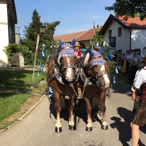 Siegertsbrunn - Leonhardi-Fahrt 2015 - Bild 76 Siegertsbrunn - Leonhardi-Fahrt 2015 - Bild 76