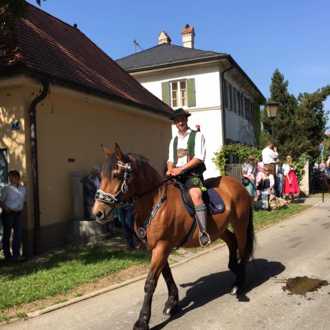 Siegertsbrunn - Leonhardi-Umzug 2015 Siegertsbrunn - Leonhardi-Umzug 2015