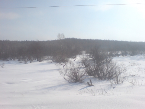 Khabarovsk - s&uuml;dw&auml;rts