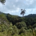Koh Phangan