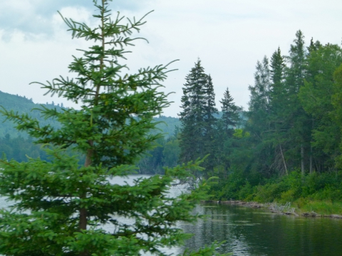 White Mountains - Maine White Mountains - Maine