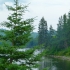 Maine Maine