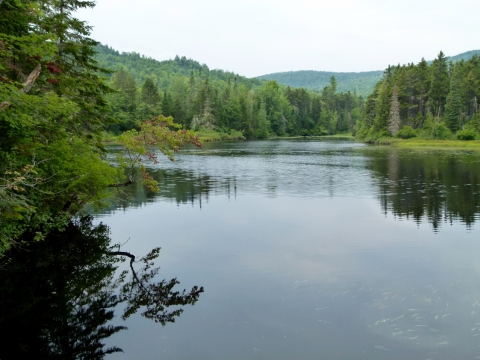 White Mountains - White Mountains White Mountains - White Mountains