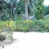 Seaflower Garten