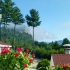 White Mountains Resort White Mountains Resort
