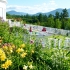 White Mountains Resort White Mountains Resort