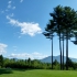 White Mountains Resort White Mountains Resort