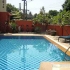 chiang mai thai house pool