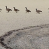 Carson Beach