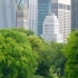 Central Park Central Park