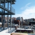 The Whitney The Whitney