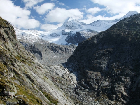 Neukirchen am Großvenediger - Großer Geiger (3360m) Neukirchen am Großvenediger - Großer Geiger (3360m)