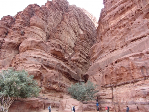 Wadi Rum Wadi Rum