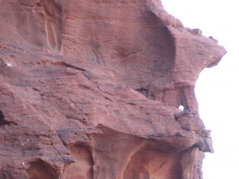Wadi Rum Wadi Rum
