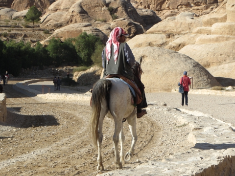 Petra Petra